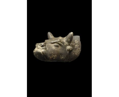 Ca. 300-1 BC. A substantial ceramic bull's head from a rhyton with naturalistic features; modelled with short horns, ears, fr