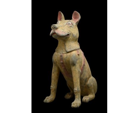 Ca. 202BC - 220AD. A huge pottery model of a guard dog in a seated position, facing forwards with head alert and ears pricked