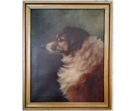 Laura Shaw (English School) Rough Collie Dog Portrait&nbsp; Framed oil on canvas, dated 1903 55cm x 46cm 