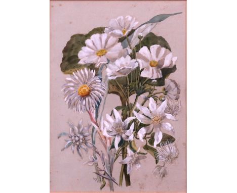 Alicia Margaret Tyssen Amhurst, Lady Rockley (British, 1865-1941), botanical studies, seven, each initialled A.R, two dated 1