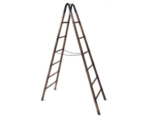 A 19th century carved elm folding library step ladder, the uprights carved as bamboo, united by cast iron hinges, 185cm long