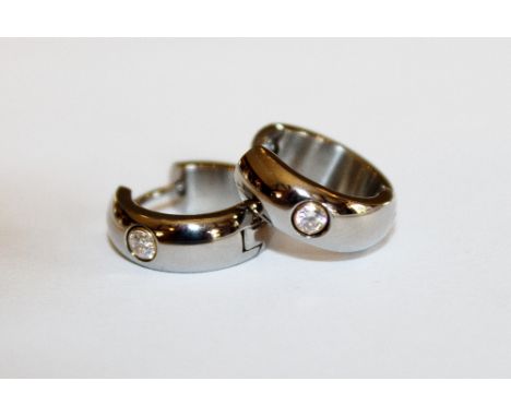 Pair of titanium earrings