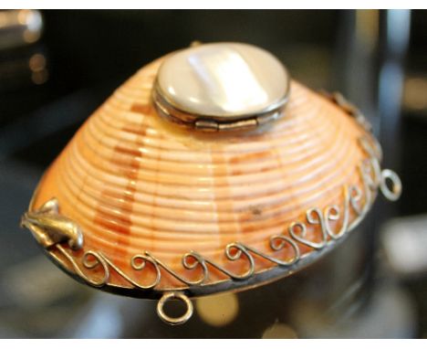 Unusual shell in form of snuff box with mother of pearl lid