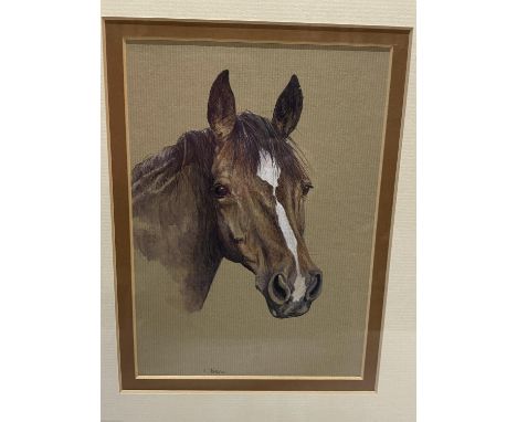 A signed watercolour portrait of a horse signed L Tindell 
