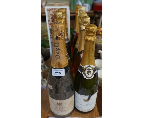 Ten bottles of assorted sparkling wine including fine Cava  