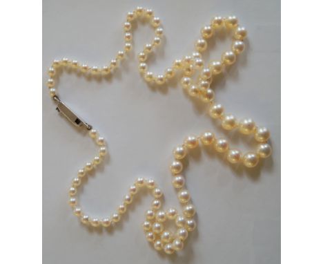 A graduated pearl single string necklace, with white metal and paste clasp.