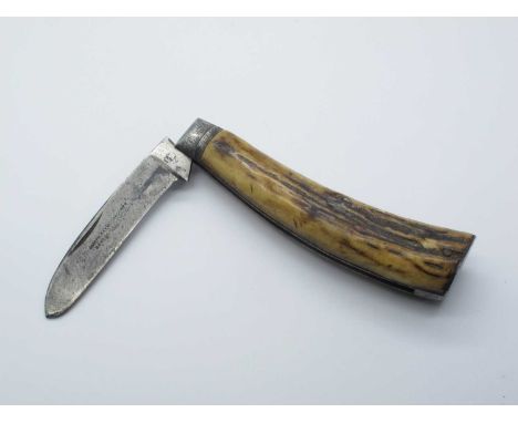 Flat Bottom Pruner, Joseph Haywood and Co, Sheffield, stag scales, clicks shut/open, bo wobble, wear on the blade, 11.5cm