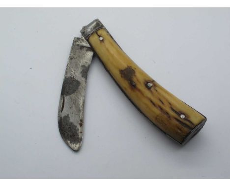 Flat Bottom Pruner, crown cast steel on blade, stag scales, 12cm.