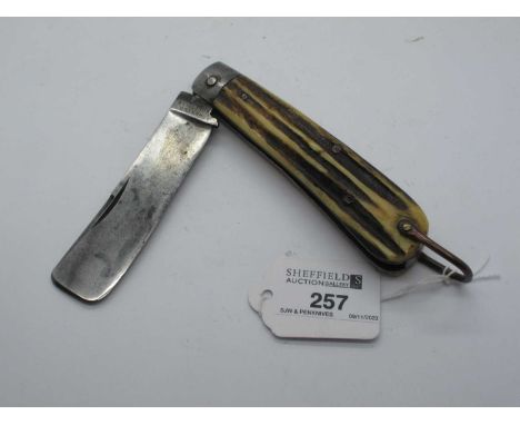 Sailors knife, hunter of Sheffield, stag scales, lanyard ring, 12cm.