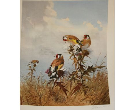 JOHN CYRIL HARRISON, SIGNED IN PENCIL TO MARGIN, COLOURED PRINT (PUBLISHED BY THE BRITISH ART COMPANY), Goldfinches, 12  x 8 