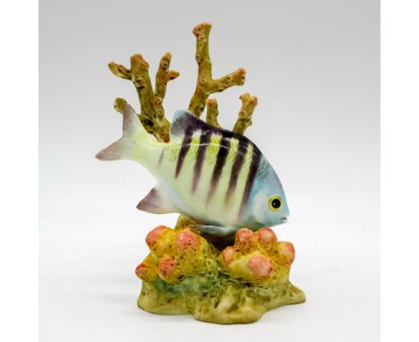 Stunning sculpture depicting a fish with black stripes swimming through the coral reef.Royal Worcester backstamp. This item h