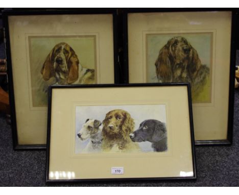Vernon Stokes, Basset Hound, coloured print;  others, Otter Hound;  etc (3)
