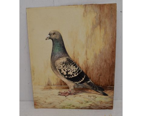 Harry Hoyle (20th century)  watercolour on paper, Pigeon, signed and dated 1935 lower right, also with small card showing the