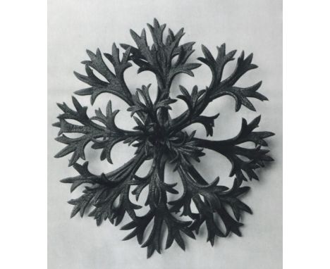   Blossfeldt,K.Blossfeldt,K. Urformen der Kunst. Photographische Pflanzenbilder. Hrsg. mi  Blossfeldt,K.    Blossfeldt,K.   U