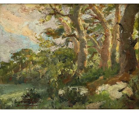 Gustave Caillou (French 1851-1936): Wooded Landscape, oil on panel indistinctly signed 26cm x 34cm