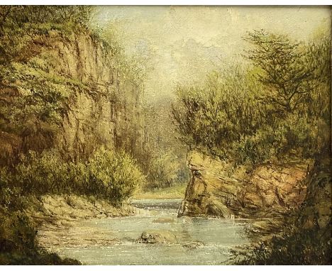 English School (19th century): River Gorge 'Allandale' Northumberland,  oil on panel unsigned, titled verso 27cm x 34cm