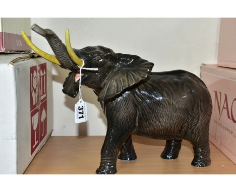 A BESWICK ELEPHANT - TRUNK STRETCHING (LARGE), model No.998, gloss, trunk and tusks intact, restoration to underside of feet