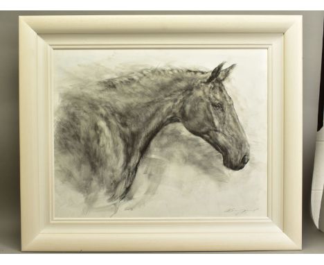 GARY BENFIELD (BRITISH 1965) 'REGAL II' a head and shoulders profile portrait of a horse, signed bottom right, oil on board, 