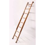 AN UNUSUAL ASH ADJUSTABLE LADDER, with five rungs and brass mounts. Closed Height 5ft 6in.