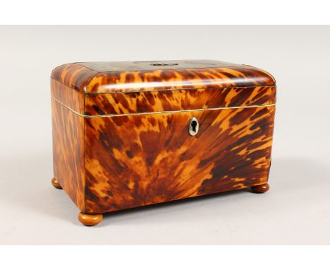 A REGENCY TORTOISESHELL TWO-DIVISION TEA CADDY, on ball feet. 6.5ins.