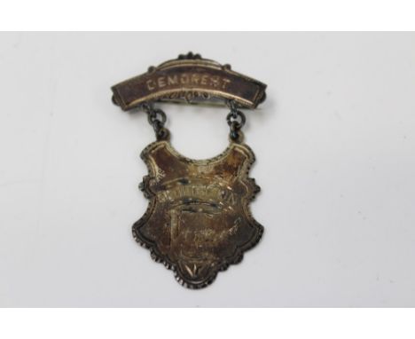 Prohibition - an American silver prize medal with pin - awarded to Army Kent April 1895 Demorest, Georgia