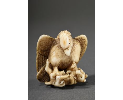 Elfenbein Netsuke "Adler einen Fuchs schlagend", verso glänzende Patina, in unregelmäßiger Kartusche, sign. Hidechika ,Mitte 