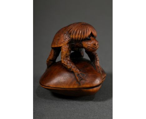 Buchsbaum Netsuke "Kappa auf Muschel sitzend", H. 4,1cm, 20.Jh., Vgl.: P. Jirka-Schmitz, Netsuke, Düsseldorf 1990, Nr. 303, P