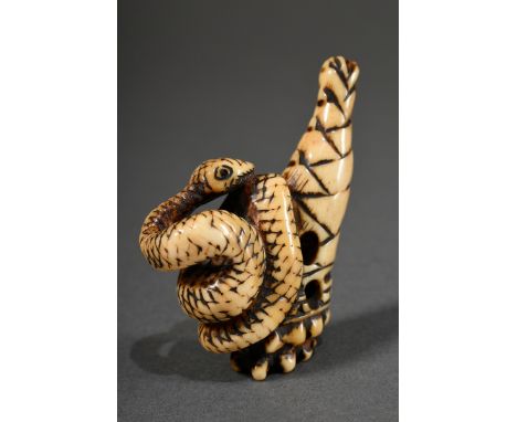 Hirschhorn Netsuke "Bambusspross mit Schlange", 19.Jh., H. 5,8cm, Provenienz: Norddeutsche Sammlung