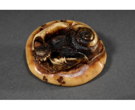 Hirschhorn Netsuke "Schnecke auf Pilz mit Blume" mit Einarbeitung der Gehörn Struktur, Asakusa Schule, Ende 19.Jh., schöne gl