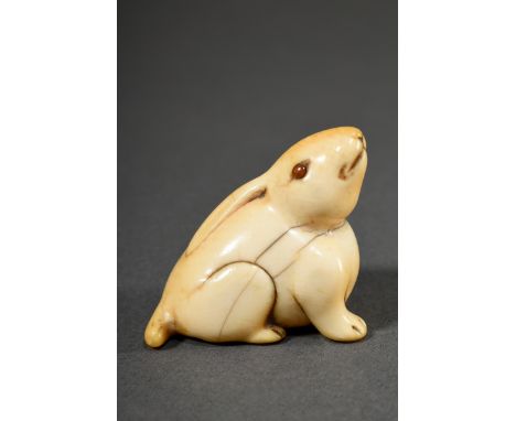 Elfenbein Netsuke "Hase in den Himmel schauend" mit eingelegten Bernstein oder Horn Augen, schöne beriebene Gebrauchspatina, 