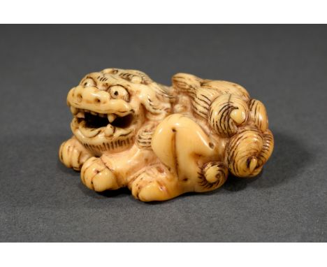 Kompaktes Elfenbein Netsuke "Kreisrund liegender Shishi" mit gelocktem Fell und beweglicher Kugel im Maul, schöne Gebrauchspa