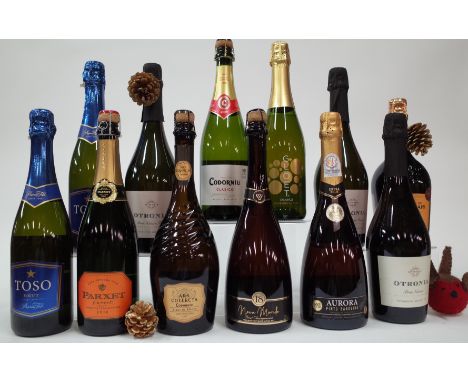 12 BOTTLES SPARKLING WINEPascual Toso 2 x Toso Brut NV; Parxet Cuvée 21 Brut 2018; Codorniu Blanc de Blancs Gran Reserva 2017