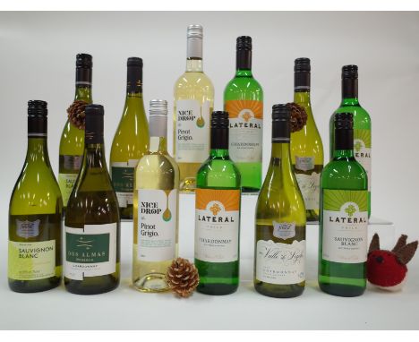 12 BOTTLES CHILEAN WHITE WINETesco 2 x Finest Sauvignon Blanc 2021 and 2 x Finest Chardonnay 2020; Dos Almas 2 x Reserva Char