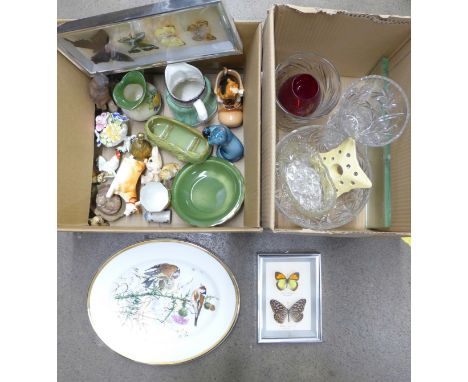 A box of cut glass including bowl and two vases, china animals, Poole seal, Toby jug, two framed sets of mounted butterflies,