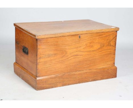 A 19th century elm trunk with hinged lid, height 53cm, width 89cm, depth 54cm.