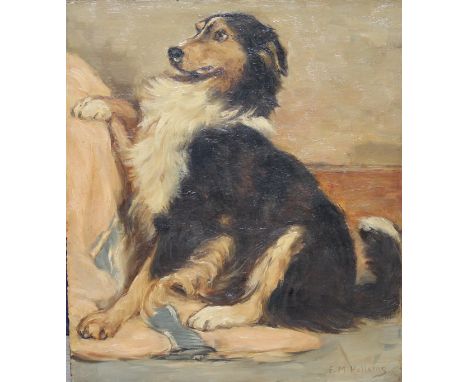 FRANCES MABEL HOLLAMS (1877-1963) "Collie dog presenting paw", oil on board, signed "F.M. Hollams" lower right, 34 cm x 29 cm