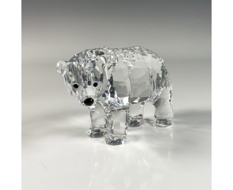 Clear crystal bear from Rare Encounters collection, exploring the forest with her fully faceted clear crystal body. Swarovski