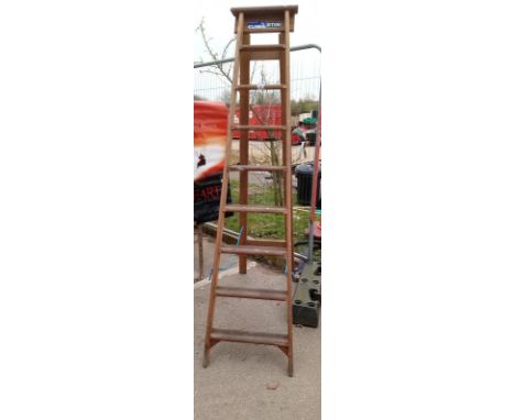 A 9 step Clima ladder COLLECT ONLY