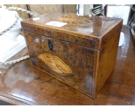 A 19TH CENTURY BURRWOOD TEA CADDY, 7.25" wide