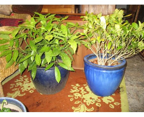 Two large blue glazed plant pots, the largest 36cm h x 41cm d Location: G 