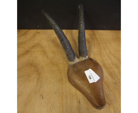 Vintage Antelope Antlers, set into shaped wooden block