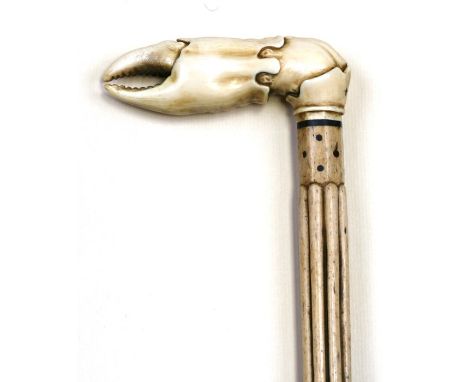 A carved whale bone walking stick with carved ivory handle in the form of a crabs claw.93cm (36.5 ins) long