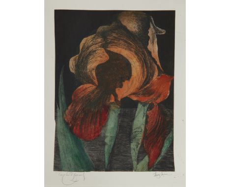 Leonard Baskin,&nbsp;American 1922&ndash;2000 -&nbsp;Large Iris;&nbsp;&nbsp;hand-coloured etching on paper, signed on backing