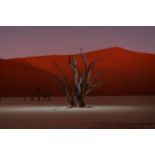 Kevin McElvaney - Deadvlei