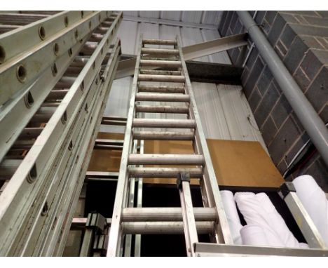 Fifteen rung double extension ladder, 30ft long. Not available for in-house P&amp;P 