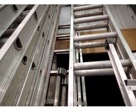Wickes eleven rung double extension ladder. Not available for in-house P&amp;P 