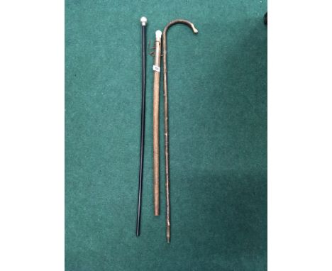 A silver topped walking cane together with another walking cane and walking stick.