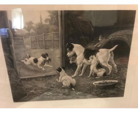 Four Victorian engravings of dogs. A.C. Alais after S. Berkley, 'A Disgrace to his Family' and 'A Credit to his Family' c.188