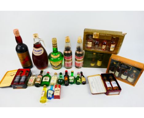 A collection of spirits and similar to include whisky and brandy miniatures, Polish Cherry Vodka, Kirsch and other. [W]