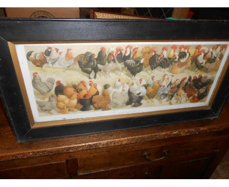 Farmyard Poultry Print 24 x 10 inches 